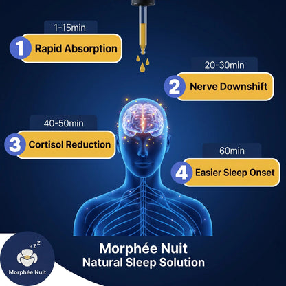 Morphée Nuit how it works